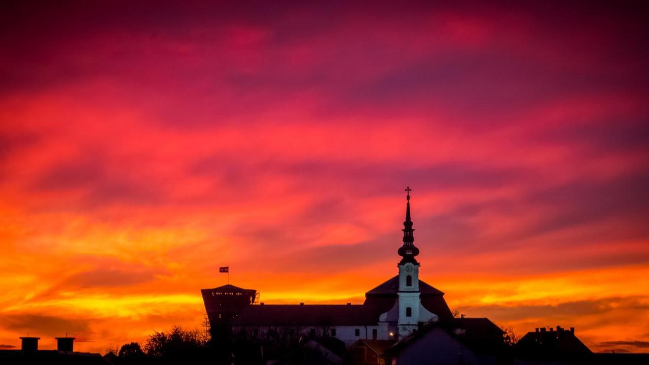 Bed and Breakfast Vila Rosa Vukovar Exterior foto